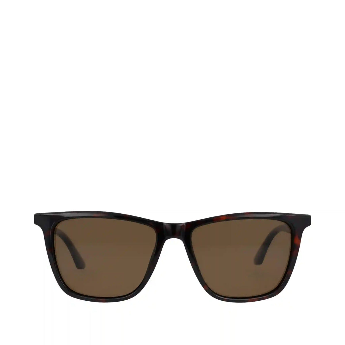 Rio Whiskey Tortoise Traveler Sunglasses