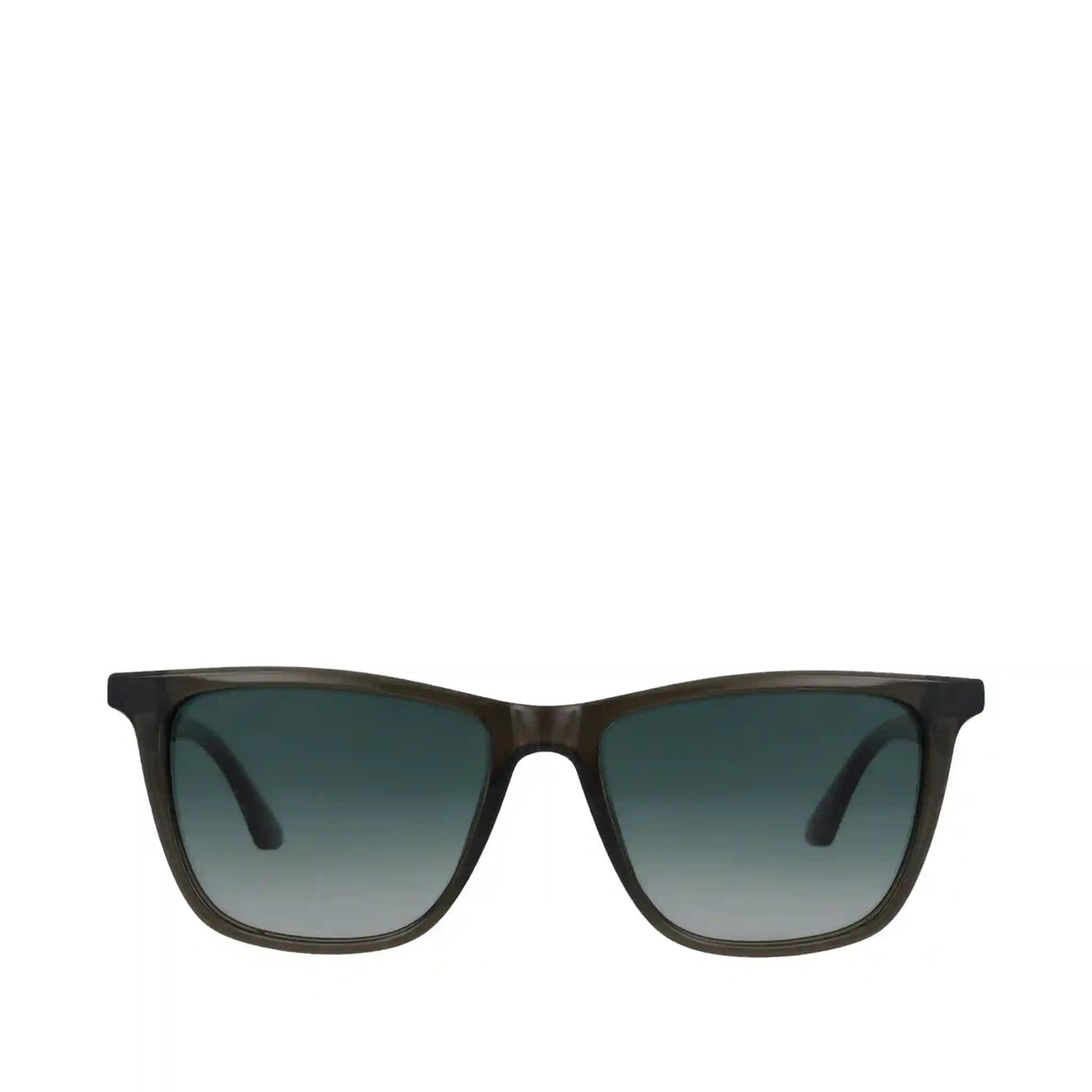 Rio Forest Green Tortoise Traveler Sunglasses